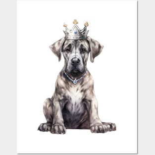 Watercolor Great Dane Dog Wearing a Crown Posters and Art